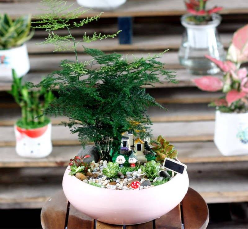 Hình 9: Thuỷ tùng tạo thành nhiều lớp tựa như bóng cây cổ thụ nhỏ nhắn